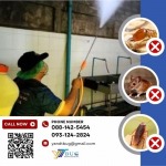 บริษัทกำจัดปลวก สมุทรสาคร - วาย แอนด์ ที บัก เมเนจเม้นท์
