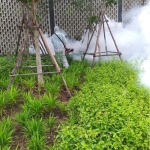 Mini Bug Co., Ltd.