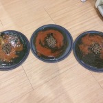 Mini Bug Co., Ltd.
