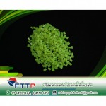 โรงงานผลิตเม็ดพลาสติก - FTTP
