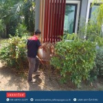 ฉีดนำยากำจัดปลวก มด ตุ๊กแก ปทุมธานี - กำจัดตุ๊กแก เซททาไวท์