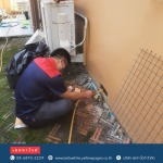ผู้กำจัดปลวกมืออาชีพ นนทบุรี - กำจัดตุ๊กแก เซททาไวท์