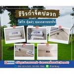 บริษัทกำจัดปลวก ราคาถูก - กำจัดปลวก เหยื่อกำจัดปลวก ปทุมธานี - ไอ แอม บัก