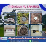 กำจัดปลวก เหยื่อกำจัดปลวก ปทุมธานี - ไอ แอม บัก