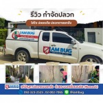 กำจัดปลวก เหยื่อกำจัดปลวก ปทุมธานี - ไอ แอม บัก