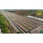 รับทำบ้านสวนเกษตรทฤษฎีใหม่ - รับขุดออกแบบโมเดลโคกหนองนา - HSD