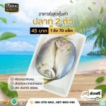 ปลาทูส่งออกต่างประเทศ - ขายส่งปลาทูแม่กลอง - ดาปลาทูแม่กลอง