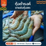 DAMRONGCHAROENKAKUNG CO., LTD.