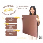 โรงงานผลิตเบาะรองนั่ง - เมเซน