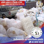 Saengdao Recycle Co., Ltd.