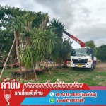 บริการให้เช่ารถเครน 10ตัน-160ตัน - ให้เช่ารถเฮี๊ยบรับจ้างขนย้าย นครปฐม - ธันวารถเฮี๊ยบรับจ้าง
