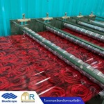 Prosmart Roof 2565 Co., Ltd.