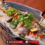 ร้านข้าวต้มกุ๊ย อพอลโล่ หนองจอก