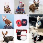 Pet Apparel Shop - Pet Relax Co., Ltd.