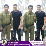 รับฝึกสอนสุนัขและรับเลี้ยงทุกสายพันธุ์