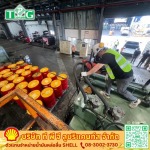 ตัวแทนจำหน่ายน้ำมันหล่อลื่นอุตสาหกรรม SHELL - ที พี จี ลูบริแคนท์ส