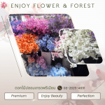 จำหน่ายดอกไม้ปลอมนำเข้า - เอ็นจอยฟลาวเวอร์
