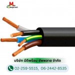 ร้านขายอุปกรณ์ไฟฟ้า เครื่องมือช่างไฟฟ้า ปทุมธานี