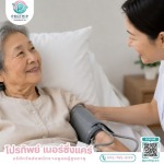 Prothip Nursing Care (Thailand) Co., Ltd.