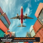Uneed Development Group Co., Ltd.
