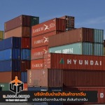 Uneed Development Group Co., Ltd.
