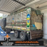 Uneed Development Group Co., Ltd.