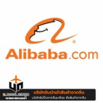 สั่งของจากจีนเว็บ Alibaba - รับนำเข้าสินค้าจีน - U need cargo