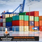 Uneed Development Group Co., Ltd.
