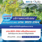 รับตรวจรับรองระบบมาตรฐาน และออกใบรับรอง Certification