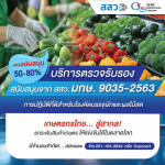 รับตรวจรับรองระบบมาตรฐานอีสาน - รับตรวจรับรองระบบมาตรฐาน และออกใบรับรอง Certification