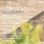 Phetsakorn Salt
