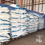Phetsakorn Salt