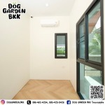 รับฝากเลี้ยงสุนัข - dog garden bkk