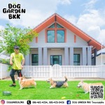โรงแรมสุนัขไม่ขังกรง - รับฝากเลี้ยงสุนัข - dog garden bkk