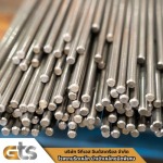 GTS INDUSTRIAL COMPANY LIMITED