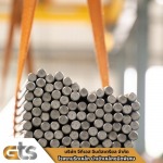 GTS INDUSTRIAL COMPANY LIMITED