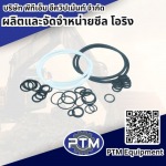 ชุดซ่อมปั๊มแดง ฟอร์ด 6600 ราคา - ผลิตและจัดจำหน่าย ซีล โอริง - พีทีเอ็ม อีควิปเม้นท์