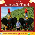 ร้านขายของไหว้แก้บนไอ้ไข่วัดเจดีย์ - โกจุย