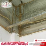 THAMMABUACHA CO., LTD.
