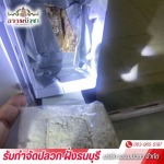 กำจัดปลวกด้วยระบบเหยื่อ บางแค - บริษัทกำจัดปลวก ฝั่งธนบุรี - ธรรมบัวชา