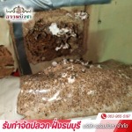 THAMMABUACHA CO., LTD.