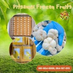 PITSAMAI FROZEN FRUITS COMPANY LIMITED