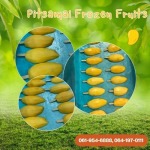 PITSAMAI FROZEN FRUITS COMPANY LIMITED