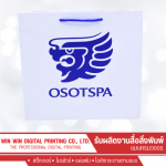 We produce paper bags at low prices. - WIN-WIN DIGITAL PRINTING COMPANY LIMITED