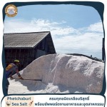 Phetchaburi sea salt