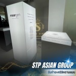 STP ASIAN GROUP COMPANY LIMITED