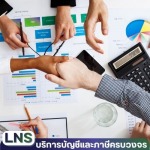 L.N.S.ACCOUNTING AND CONSULTING CO., LTD.