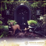 รับออกแบบสวน - รับออกแบบจัดสวน - infinitegarden