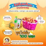 ไข่ต้มแก้บนวัดหลวงพอโสธร - น้องเฟย์ไข่ต้ม ราคาถูก
