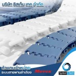 Chains belt - ตัวแทนจำหน่ายสายพานลำเลียง - Systemtech.